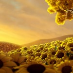 Sfondi desktop 3D gratis wallpapers 20