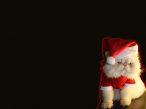 Natale sfondi desktop immagini gratis wallpapers