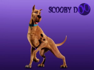 Scoby Doo sfondi desktop gratis wallpapers