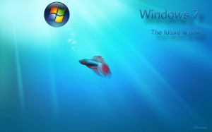 Windows 7  -  Sfondi desktop gratis immagini pc