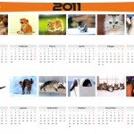 Calendario 2011 gattini