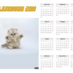 Calendario 2011 gattino sfondi pc