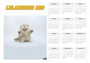 Calendario 2011 gattino sfondi pc