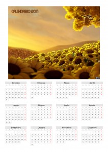 Calendario 2011 Girasoli estivi