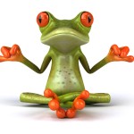 Sfondi desktop guru frog wallpapers free