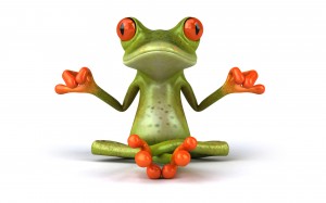 Sfondi desktop guru frog wallpapers free