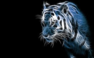 Sfondi desktop tigri 3d wallpapers pc tiger