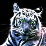 Sfondi desktop tigri wallpapers pc tiger 3d