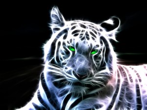 Sfondi desktop tigri wallpapers pc tiger 3d