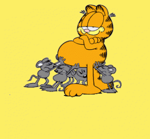 gif animate gratis garfield