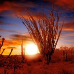 sfondi desktop deserto e tramonto immagini pc wallpapers