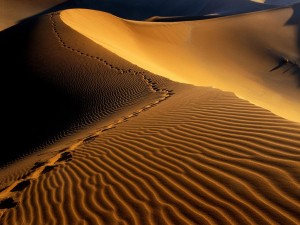 sfondi desktop dune nel deserto immagini pc wallpapers