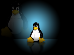 sfondi desktop linux classic immagini pc wallpapers