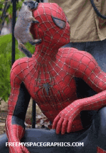 Gif animate divertenti - Spiderman