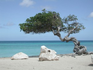 Sfondi desktop Sardegna immagini gratis - spiaggia