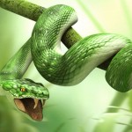 Sfondi desktop serpente verde wallpapers snake free - 3D