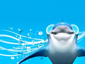 Sfondi desktop squali wallpapers shark free - Squalo simpatico