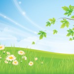 Sfondi desktop prati wallpapers lawn hd