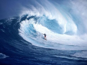 Sfondi desktop surf wallpapers - surfing