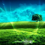 Sfondi desktop windows 7 wallpapers - prati