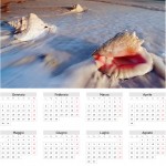 Calendario 2012 mare