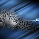 Sfondi desktop Apple wallpapers gratis - leopardo