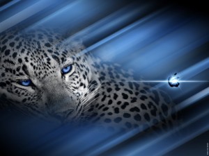 Sfondi desktop Apple wallpapers gratis - leopardo