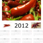 Calendario 2012 - porta fortuna e porta soldi