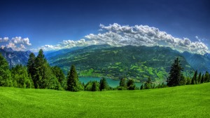 Sfondi HD wallpapers gratis - lago nel verde