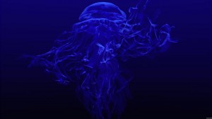 Sfondi HD wallpapers gratis - medusa