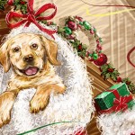 Sfondi Natale - wallpapers natale - cane