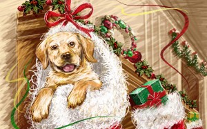 Sfondi Natale - wallpapers natale - cane