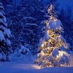 Sfondi desktop Natale - wallpapers gratis - albero di natale innevato