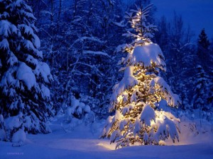 Sfondi desktop Natale - wallpapers gratis - albero di natale innevato