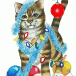 Gif animate natale - gatto addobbato