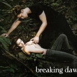 Sfondi The Twilight Saga Breaking Dawn - Parte 1 wallpapers free