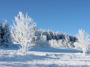 Sfondi montagna e neve - wallpapers desktop - paesaggio ghiacciato