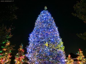 SFONDI NATALE - immagine albero di natale