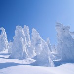 Sfondi desktop neve in montagna - alberi sommersi dalla neve