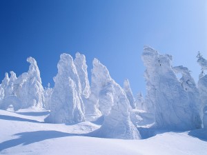 Sfondi desktop neve in montagna - alberi sommersi dalla neve