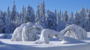 Sfondi desktop neve in montagna - wallpapers alberi spezzati dalla neve