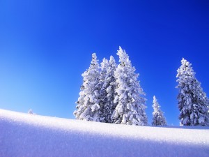 Sfondi desktop neve in montagna - wallpapers neve pc