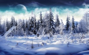 Sfondi hd neve - wallpapers hd gratis