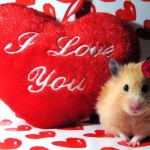 Sfondi San Valentino - I love you - wallpapers desktop gratis