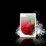 Sfondi San Valentino - rose rosse - wallpapers desktop gratis