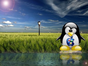 Sfondi desktop linux - wallpapers tux