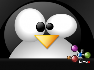 Sfondi desktop linux - wallpapers tux pinguino