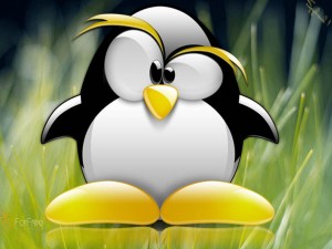 Sfondi linux - wallpapers tux for free