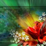 Sfondi desktop HD gratis - fiore