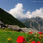 Sfondi desktop primavera - valtellina